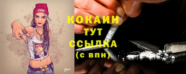 соль ск Осинники
