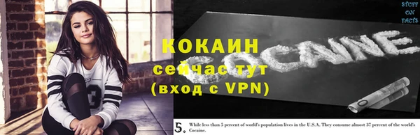 ALPHA PVP Елизово