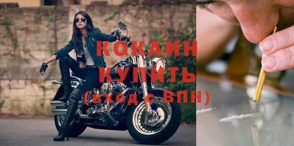 дживик Елабуга