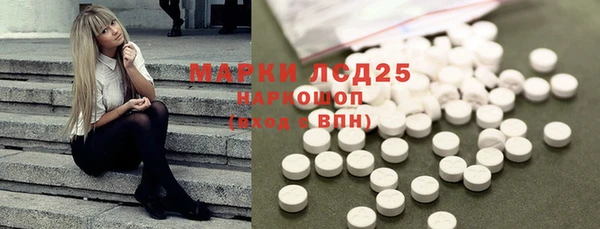 гашик Заводоуковск